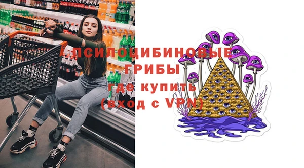 дживик Алексин