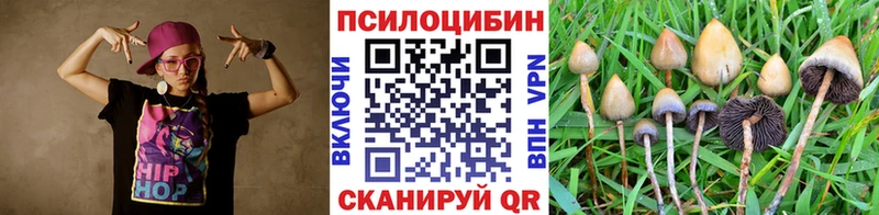 Галлюциногенные грибы GOLDEN TEACHER  наркошоп  Хадыженск 