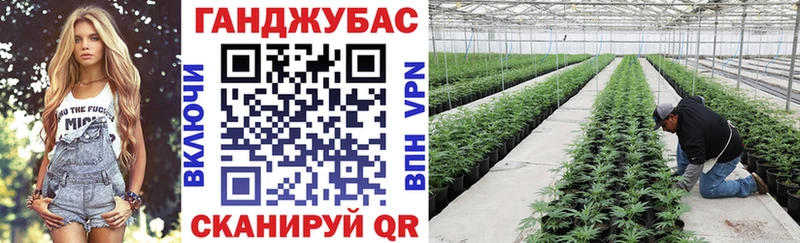 мега   Хадыженск  маркетплейс как зайти  Бошки Шишки Amnesia 